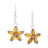 Silver Star Drop Earrings with Amber